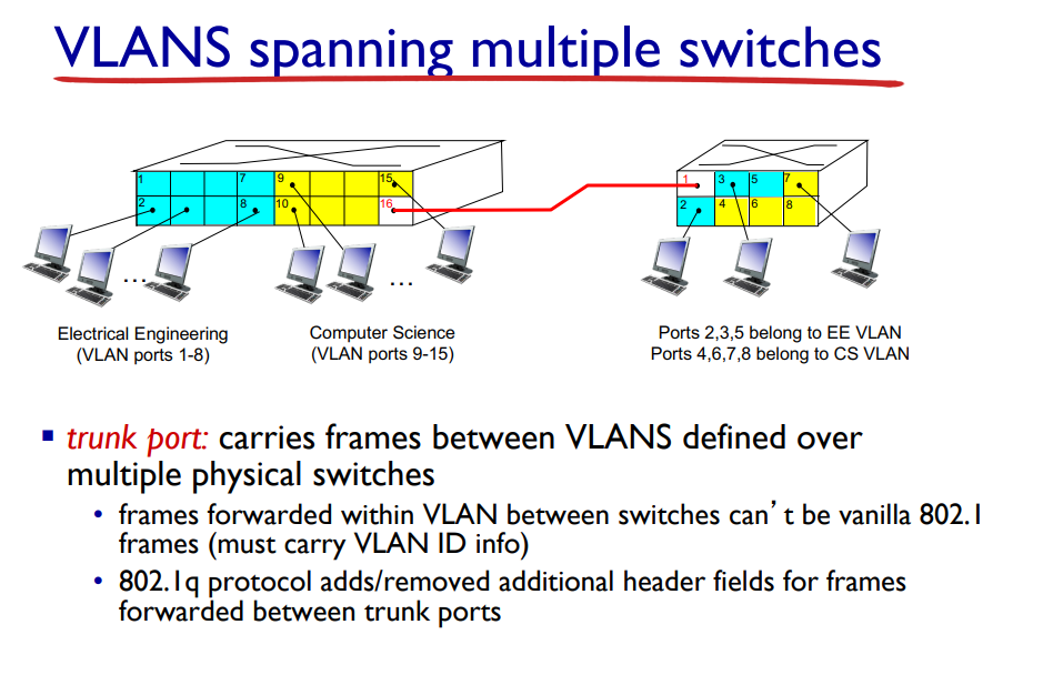 image/universita/ex-notion/VLAN/Untitled 1